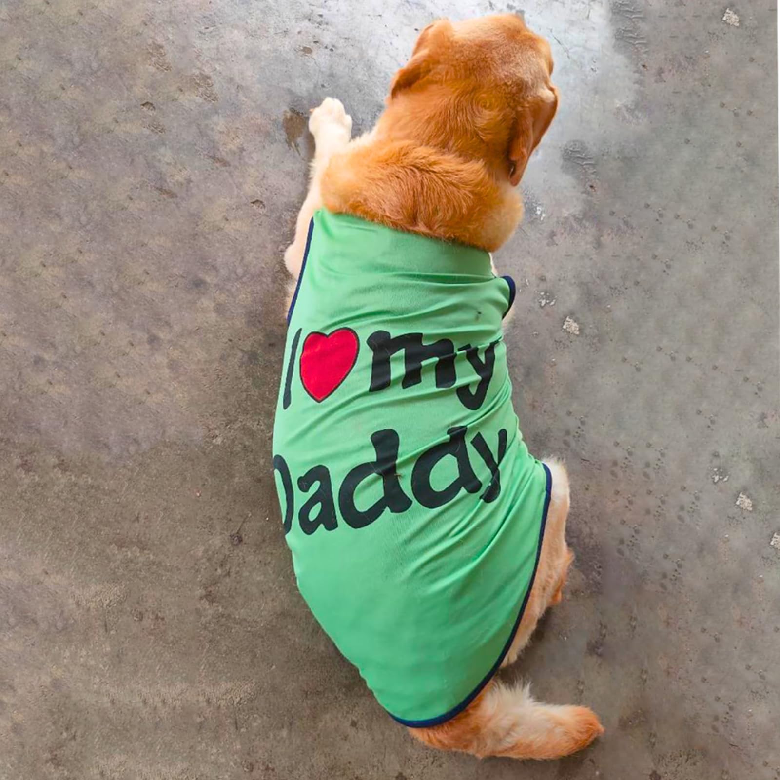 See full amazon price history chart for Lulala Pet t-Shirt Printed Round Neck Sleeveless Dog Vest Tank T-Shirt/Tees Apparel/Clothes/Tees Gift for Small Medium and Large Dogs Cats Green (10 Inch) Lulala Pet t-Shirt Printed Round Neck Sleeveless Dog Vest Tank T-Shirt/Tees Apparel/Clothes/Tees Gift for Small Medium and Large Dogs Cats Green (10 Inch) (B0CFY91T5V) Amazon Price History, Amazon Price Tracker