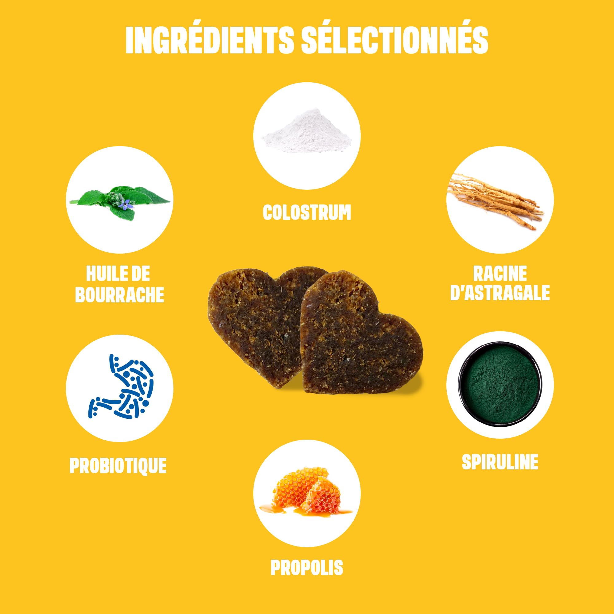 ivvi Allergy Immunity pour chiens – contre les allergies et les démangeaisons et pour renforcer le système immunitaire – 60 délicieuses collations (270 g) au saumon