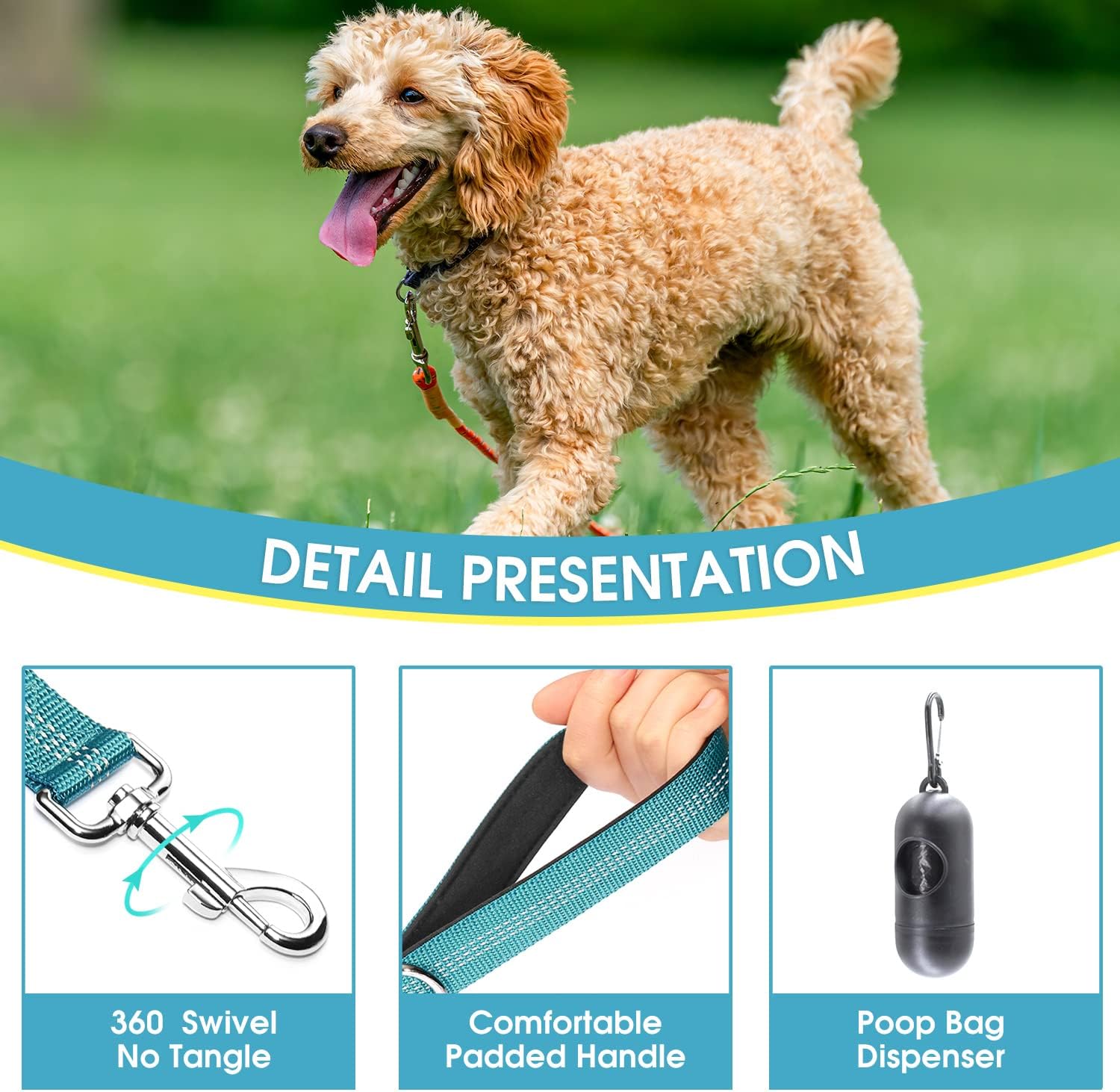 BAAPET 5 Feet Nylon Dog Leash with Triple Reflective Threads and Comfortable Padded Handle for Walking, Training Lead Small Puppy, Medium and Large Dogs (1.0'' x 5 FT, Teal)