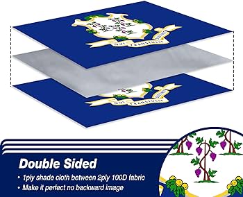 Amazon.com : XIFAN Double Sided Connecticut State Flag 3x5 ft