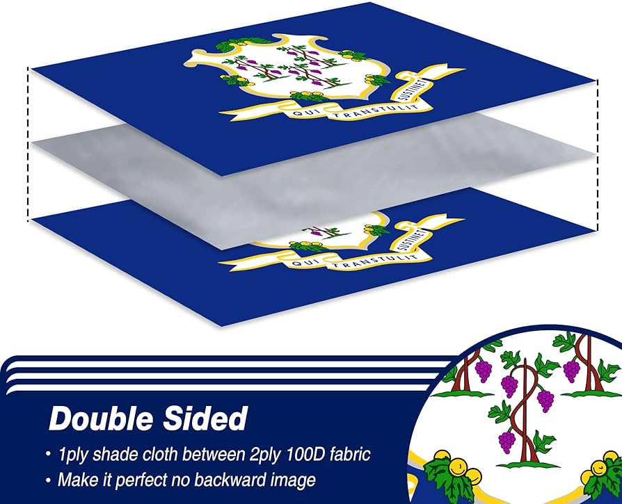 Amazon.com : XIFAN Double Sided Connecticut State Flag 3x5 ft
