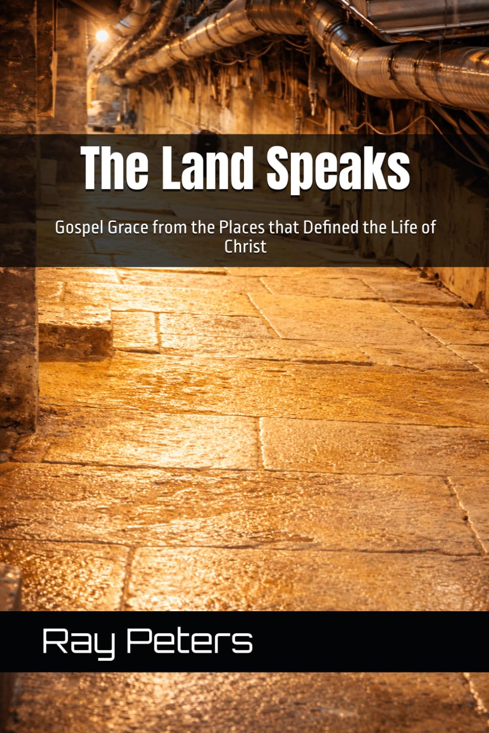 The Land Speaks: Gospel Grace from the Places that Defined the Life of Christ