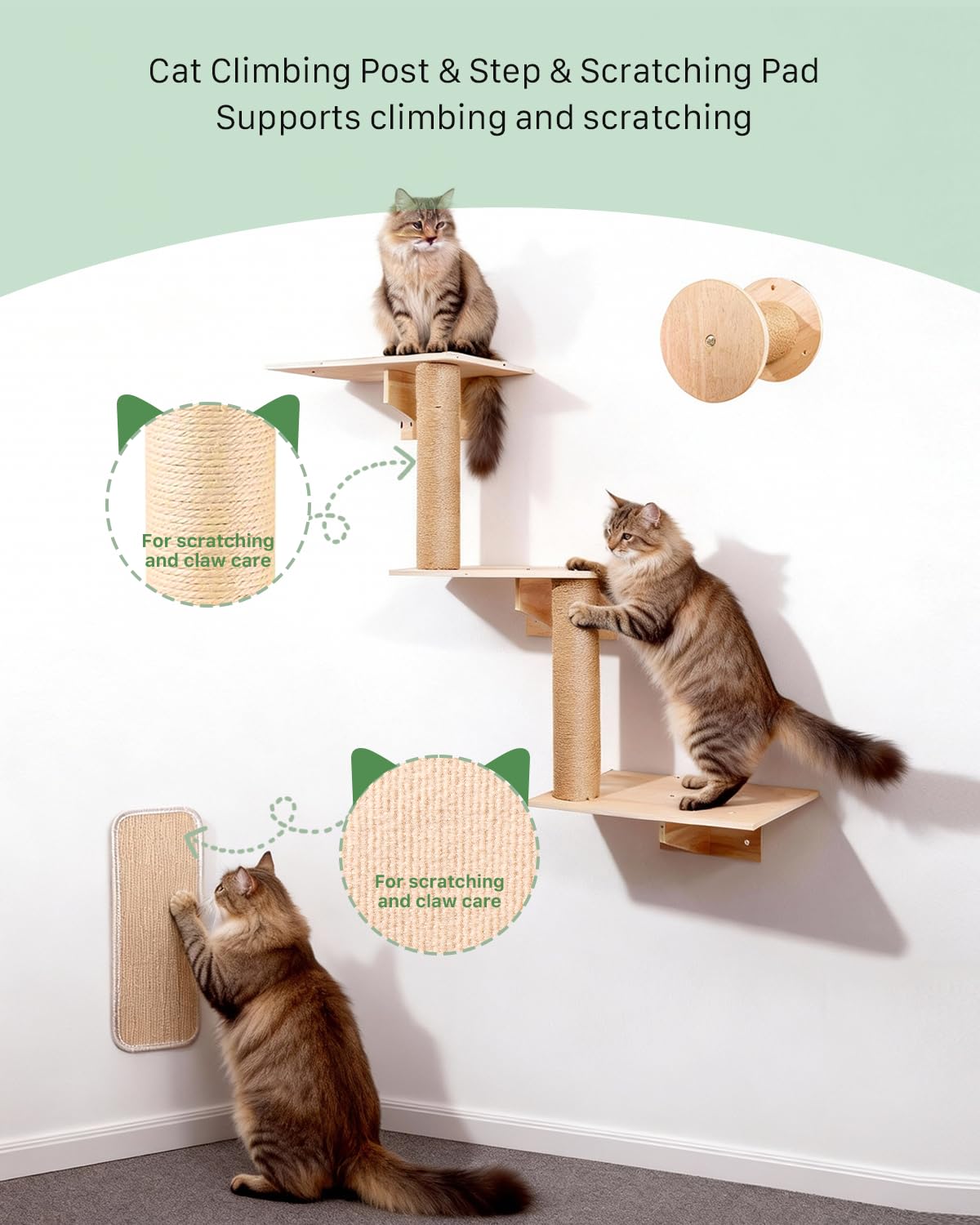 Mensole da Parete per Gatti 6 in 1, Parete per Gatti con Ponte, Cuccia a Muro, Gradini, Amaca, Struttura da Arrampicata e Tiragraffi, Set da Mobili Salvaspazio per Interni, Fino a 15 kg