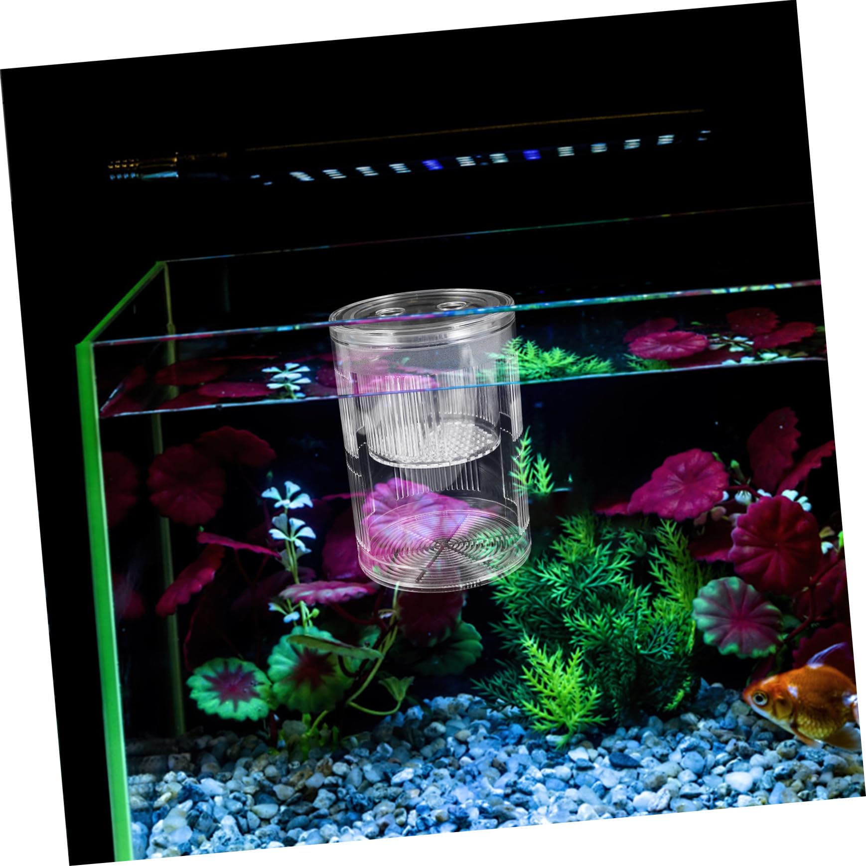 Schwimmende Fischzuchtbox aus Robustem Acryl Isolierende Brutkammer mit Saugnäpfen für Guppy und Betta Wiederverwendbare Aufzucht Brutbox für Aquarien mit Konstantem Wasserfluss