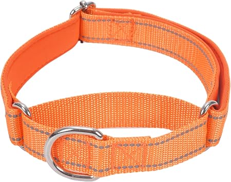 SGODA Martingale Dog Collar, Reflective Nylon Padded Dog Training Collars for Small Dogs, Orange S