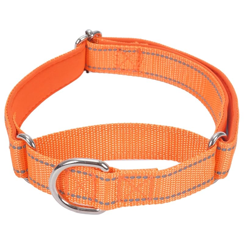 Coleira Martingale Refletiva de Nylon Acolchoada para Cães SGODA, Laranja, Tamanho Grande
