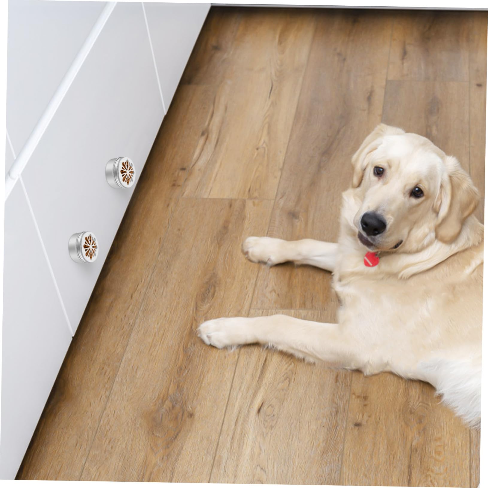 Caja de Entrenamiento de Olfato y 12 Puntos Magnéticos para Perros con 12 Latas de Aluminio Diseño Duradero y Fácil de Usar para Adiestramiento Canino