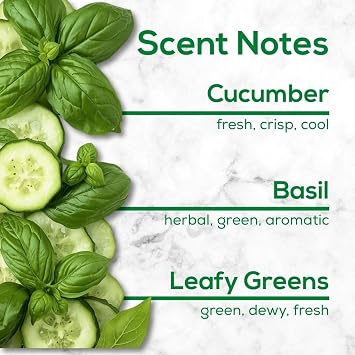 Scent Fill 100% Natural Cucumber Basil Plug in Air Freshener, Scented Oil Refills, 3 Refills