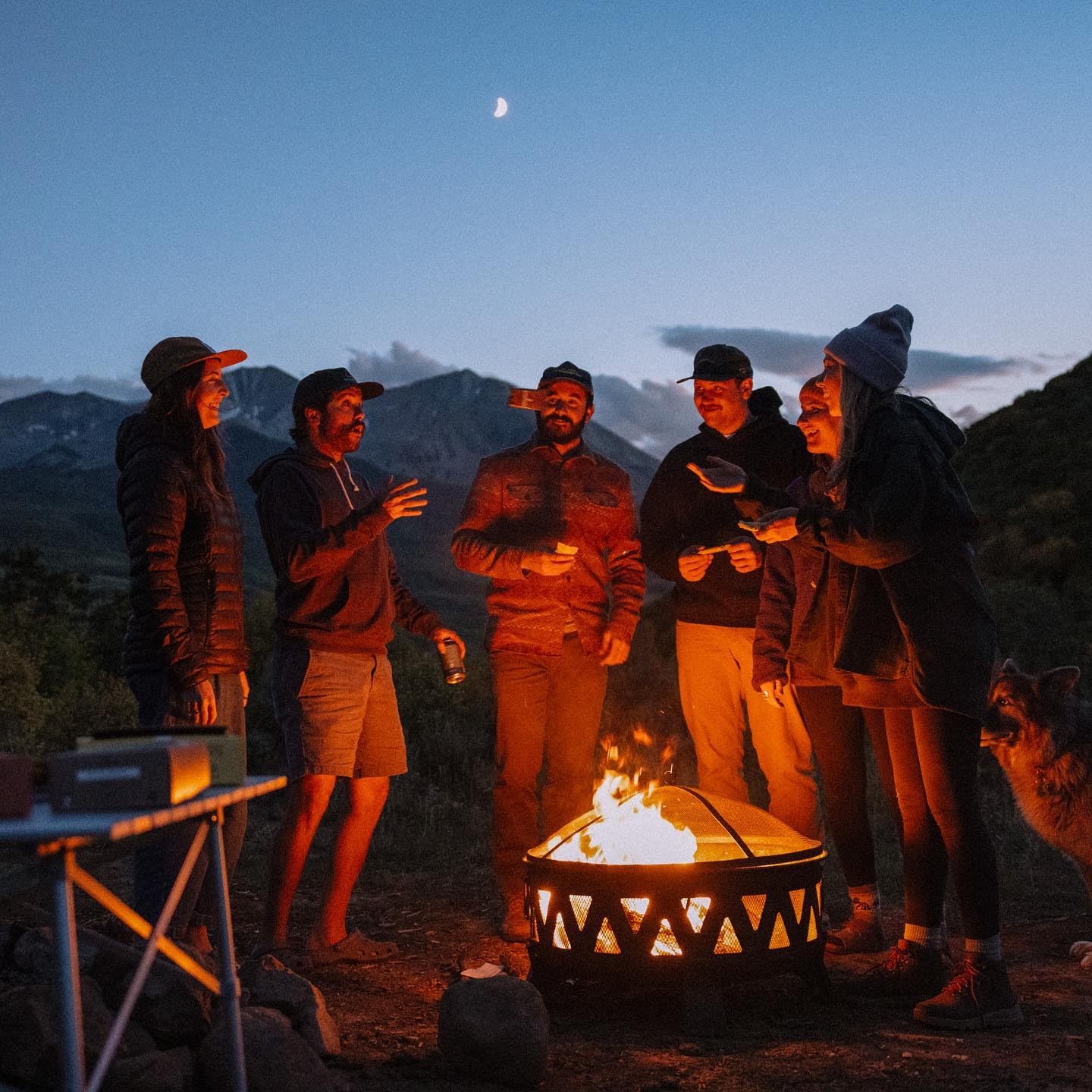 Wise Bar Adaptogen Mushroom Nutrition Bars with Reishi, Lions Mane & Ashwagandha, Organic Vegan & Gluten Free Snacks for Natural Focus, Energy & Immunity Support, Mocha Coconut Flavor, 12 Count