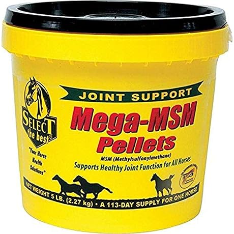 MegaMSM Pellets for Horses: Nurturing Equine Wellness and Performance