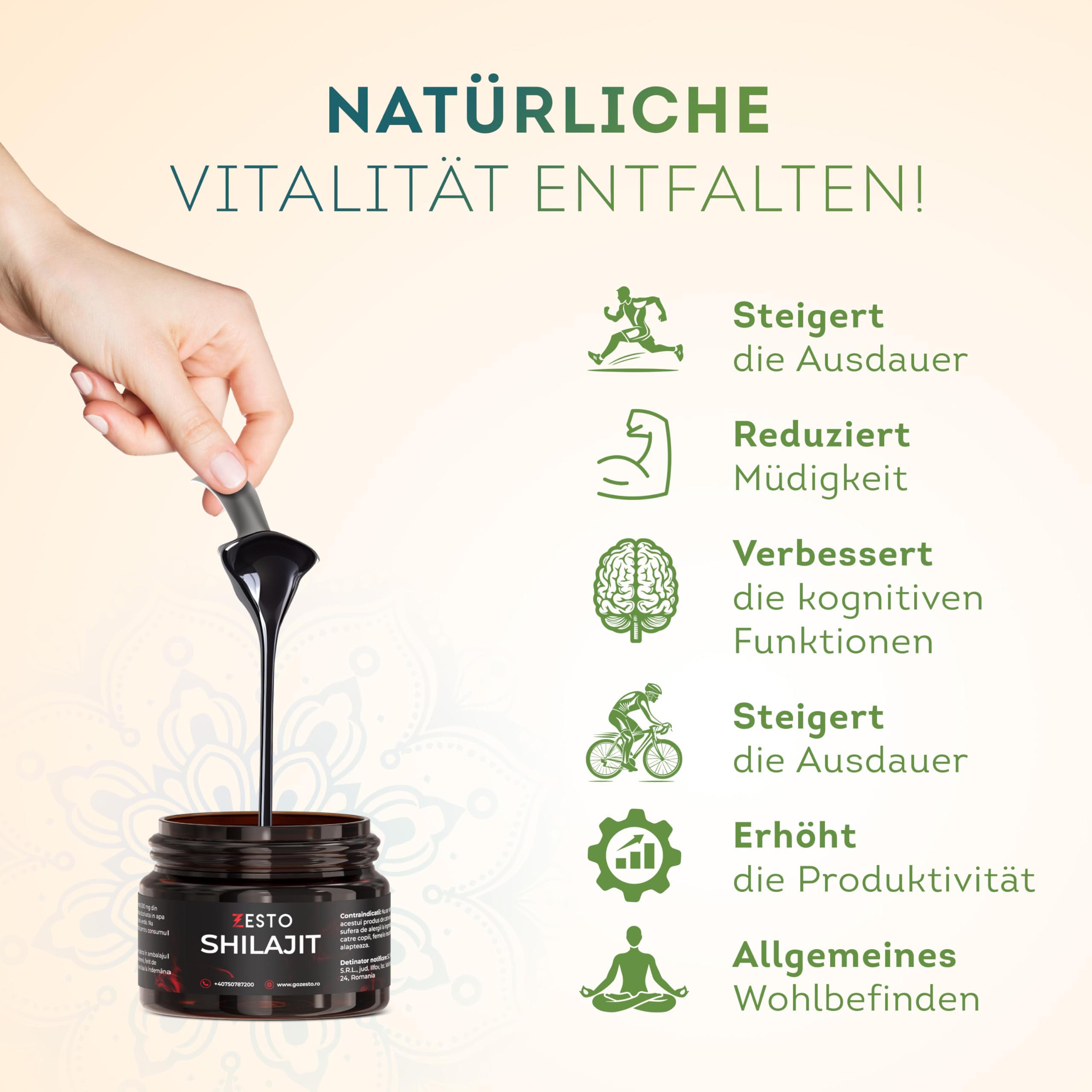 ZESTO Shilajit - Filajit originale e puro dell'Himalaya - Massima efficacia con l'80% di acido fulvico - Senza additivi - Vegano e testato - 85+ oligoelementi - 40 porzioni