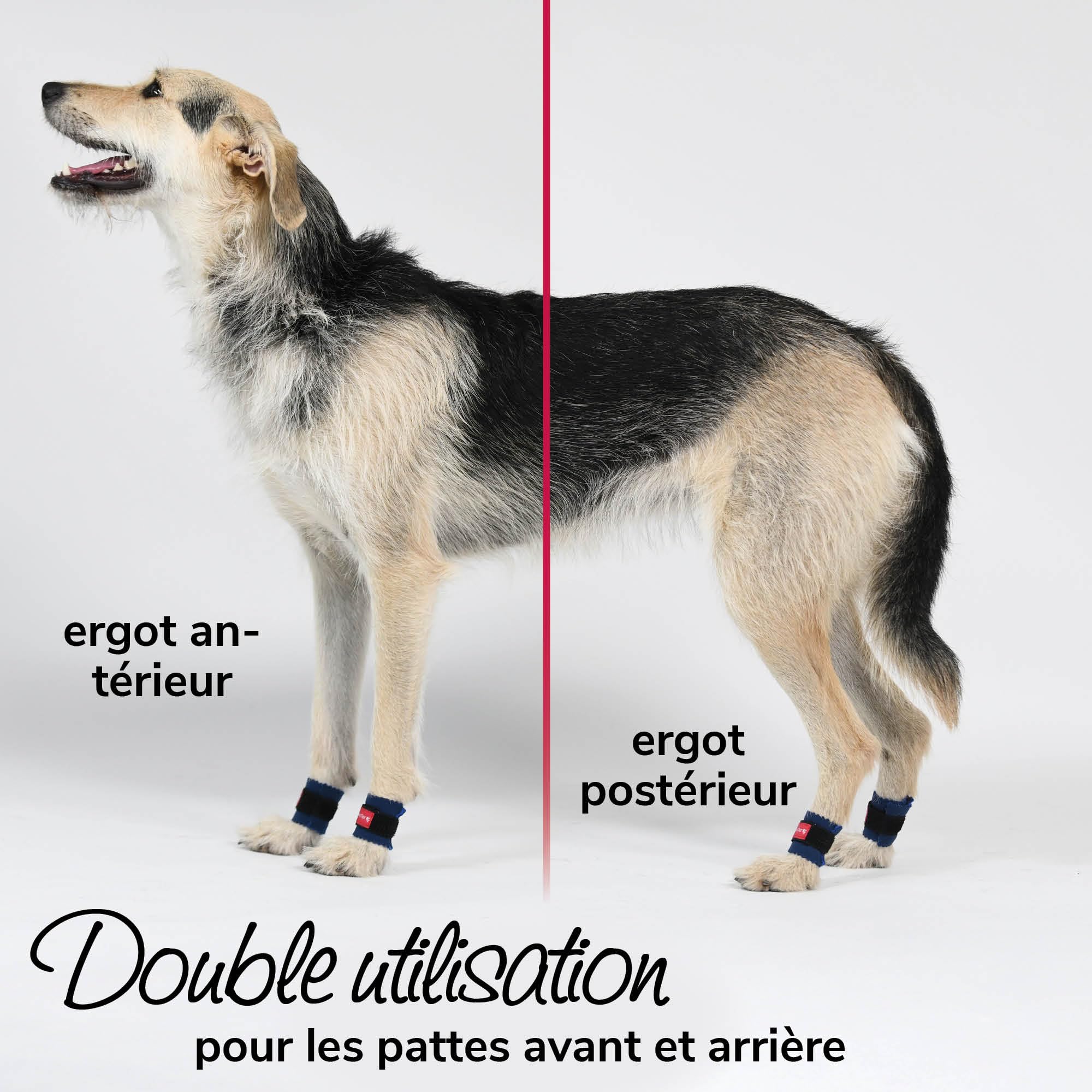 Bandage de Protection pour Ergots Taille L50 pour Chiens – Protection de l'Ergot Postérieur & de la Griffe du Pouce, Polaire Double Face, pour Sport Canin, Chasse & Agility