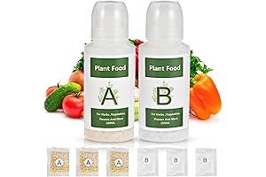 Hydroponic Support System for Your Indoor Plant Growth Adventure