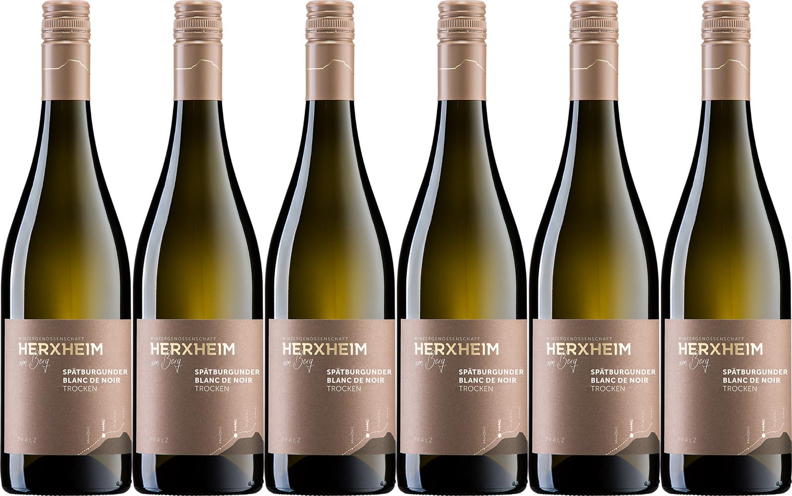 Herxheim am Berg HANG Spätburgunder Blanc de Noir 2024 Trocken (6 x 0.75 l)