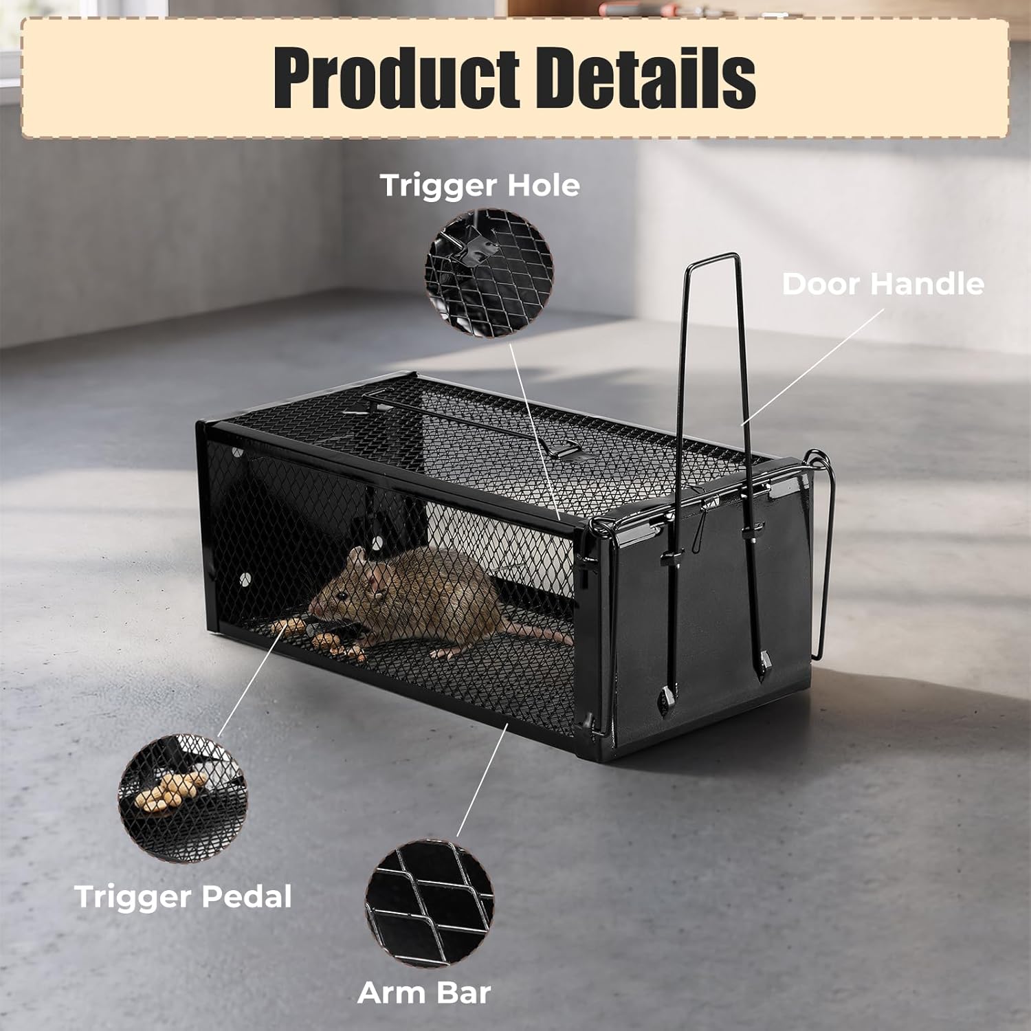 2 Pack Humane Rat Traps 12.5"x5.5"x4.5", Reusable Mouse Traps for Indoor/Outdoor Use, No-Kill Live Capture for Chipmunks, Squirrels, Rats, Mice