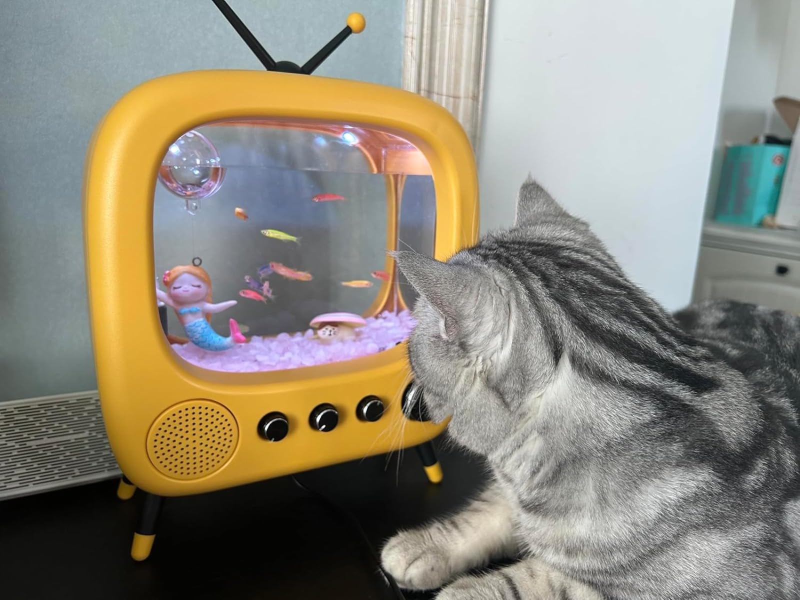 レトロなテレビ水槽