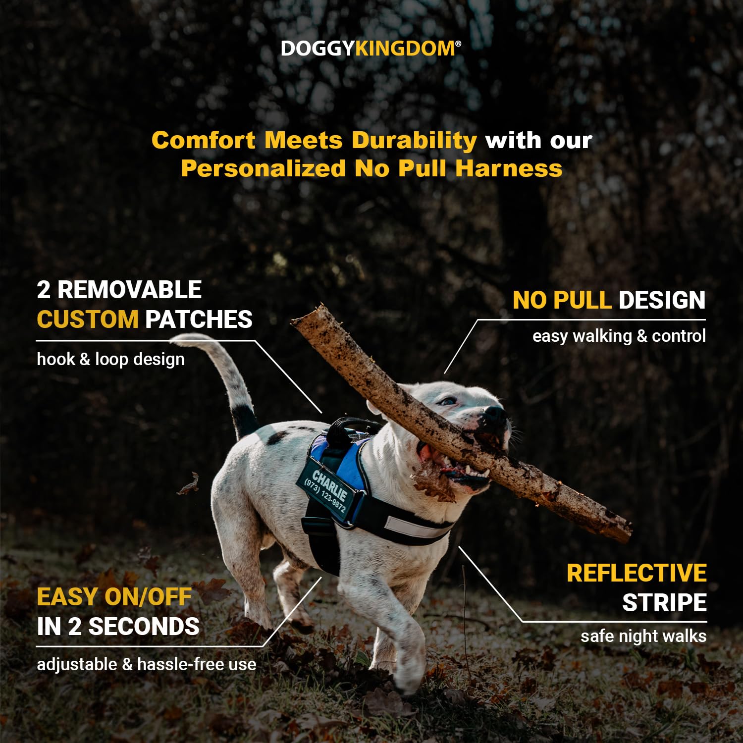 No Pull Dog Harness No-Pull Dog Harness With Name Patch