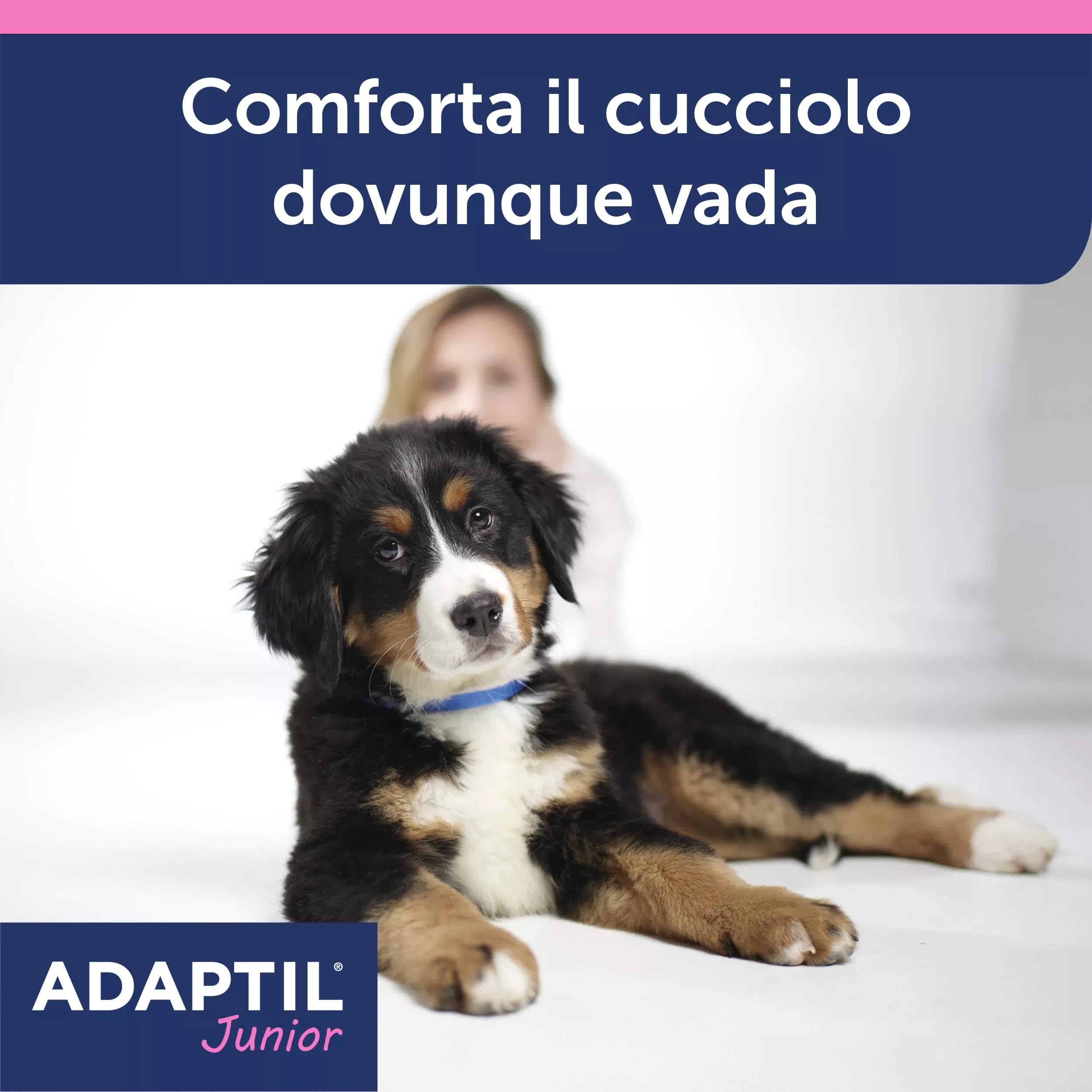 ADAPTIL JUNIOR COLLARE