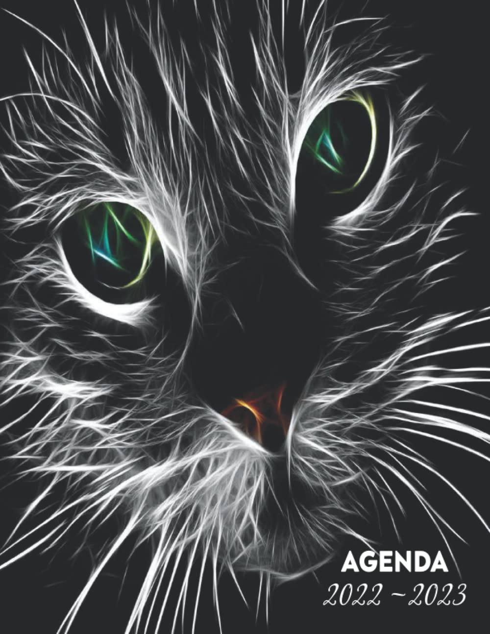 Agenda Escolar 2022 2023: diario portada gato con calendario y horario y vacaciones escolares para niñas y niños | Diario de septiembre de 2022 a ... | ... Calendario escolar | 146 Páginas