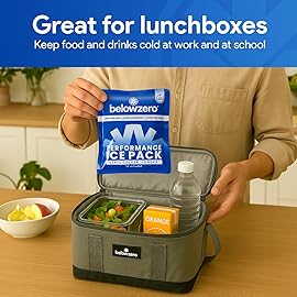 Below Zero Prefilled Reusable Ice Packs for Coolers | Long Lasting Freezer Ice Blocks for Camping, Lunch Bags & More | 48 Hour Cooler Ice Pack Technology | Small 7.5x6.5 (5-Pack)