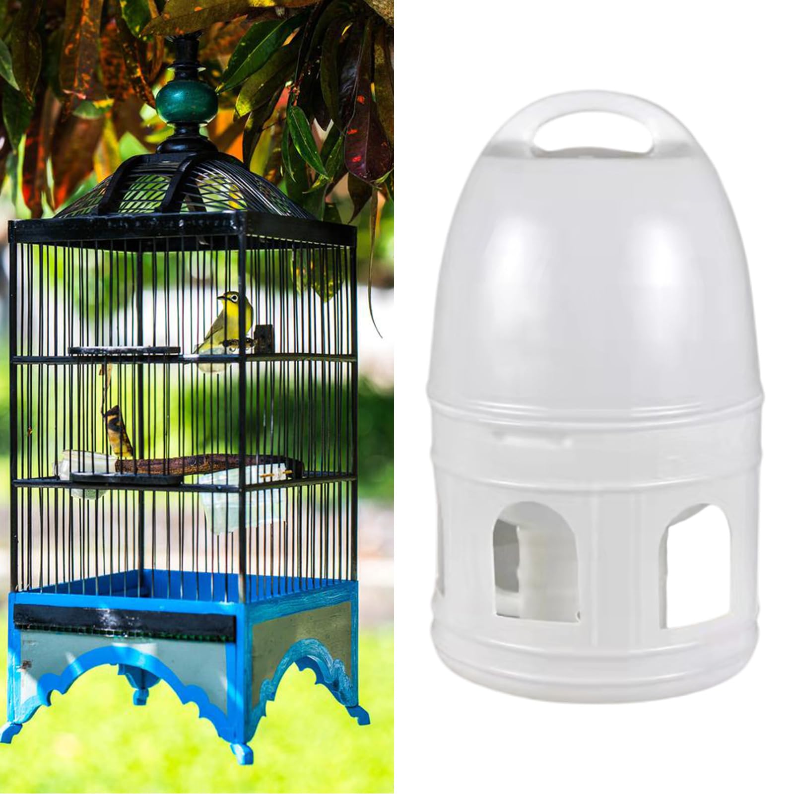 Dispensador automático de agua para pájaros de gran capacidad de 10 litros, para periquitos, palomas, loros, palomas con mango colgante, dispensador de agua