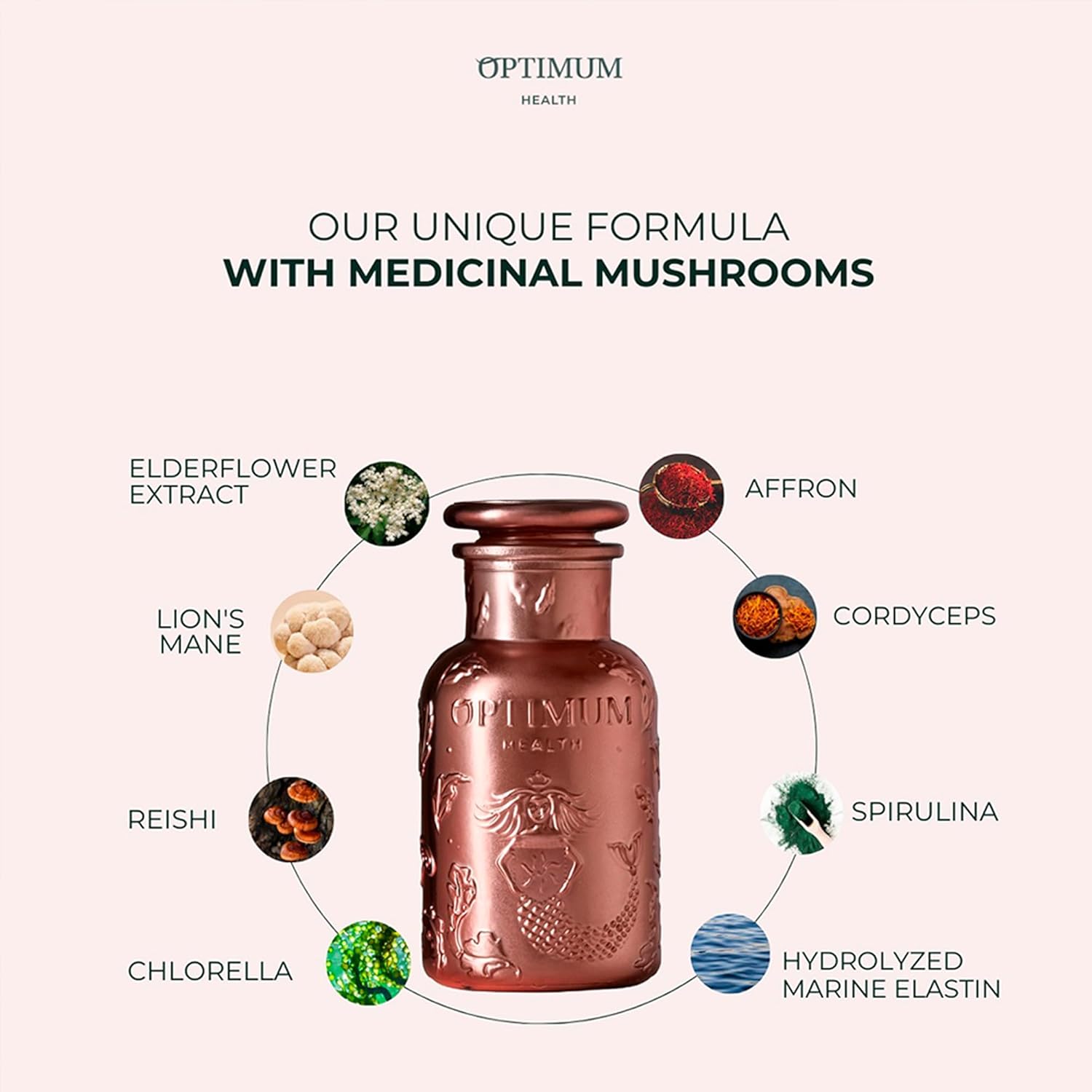 HIFAS DA TERRA Optimum Welcome Pack for Women - Mushroom Supplement, Mushroom Complex with Cordyceps & Lions Mane, Adaptogenic Extract Powder Pills for Focus & Energy - 1 Jar + 60 Capsules - Image 5