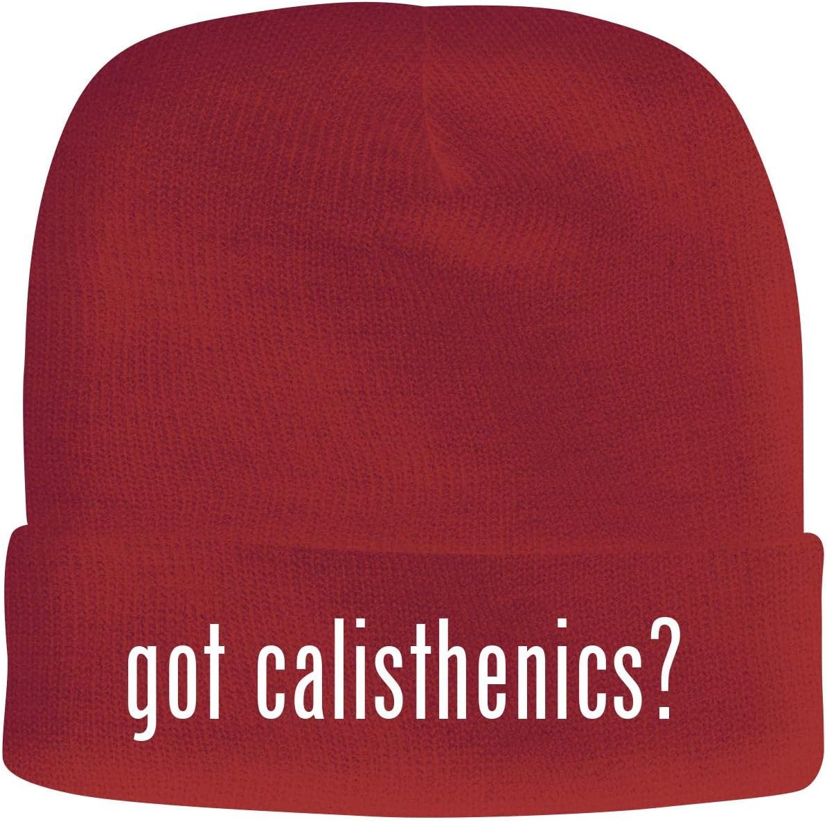 BH Cool Designs got Calisthenics? - Men's Soft & Comfortable Beanie Hat Cap