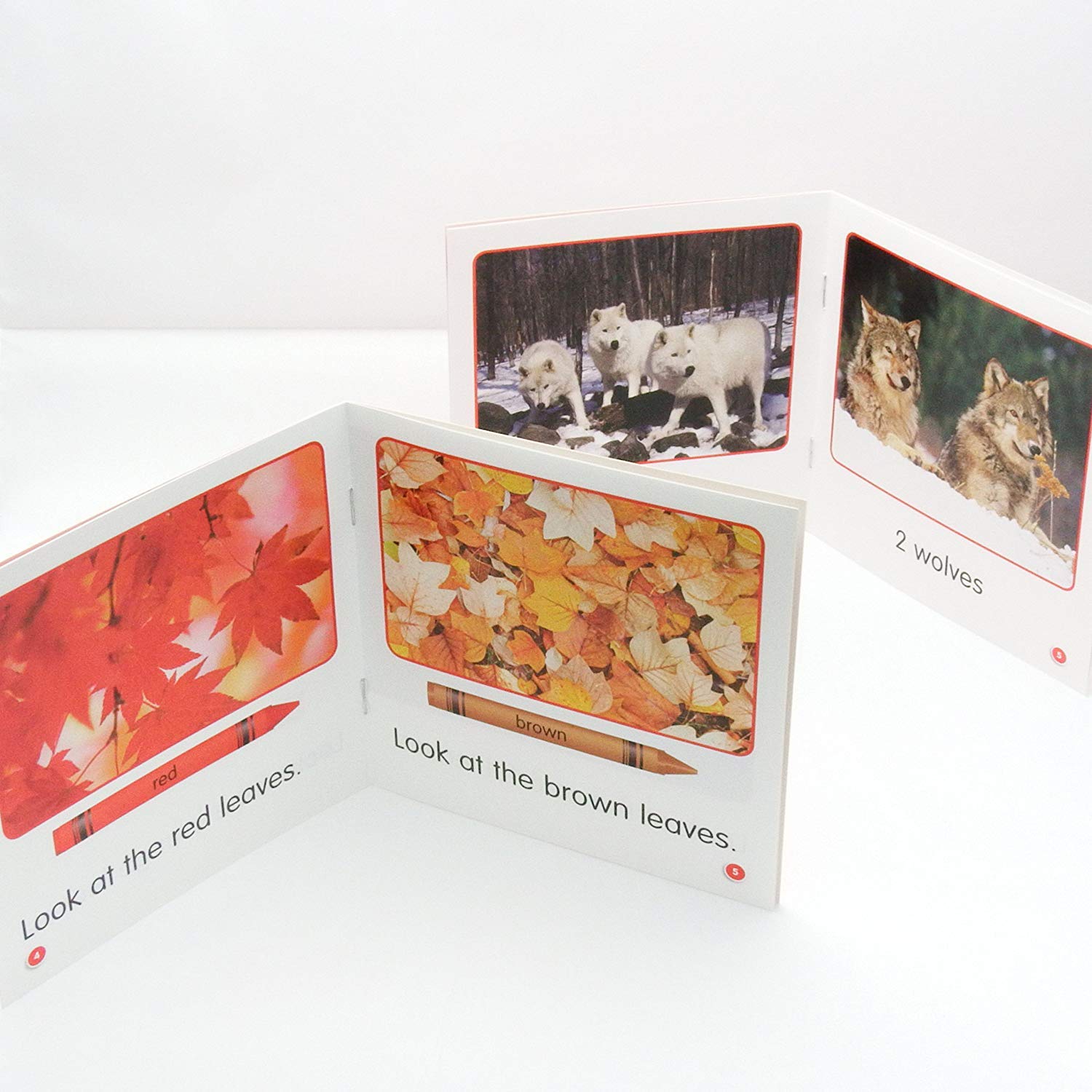 Amazon.co.jp: 英語教材 子ども Guided Science Readers Level A CD 