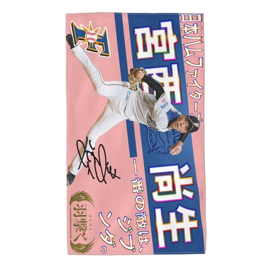 西宮カナ　タオルセット　未開封　5種類 西宮カナ タオルセット 未開封 5種類 西宮カナ タオルセット 未