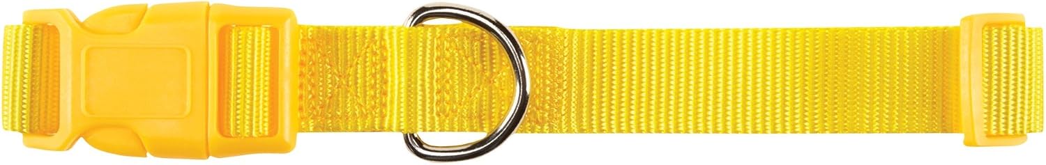 Zack & Zoey 1" Wide Nylon Dog Collar, Fits Necks 18" to 26", Yellow
