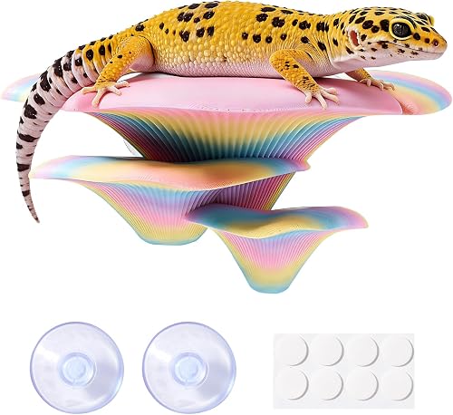 Mushroom Reptile Tank Decor, Mushroom Climbing and Resting Platform Habitat for Tree Frog Terrarium, Reptile Ledge for Leopard Gecko, Lizards, Fish, Turtle, Hermit Crab (Colorful)