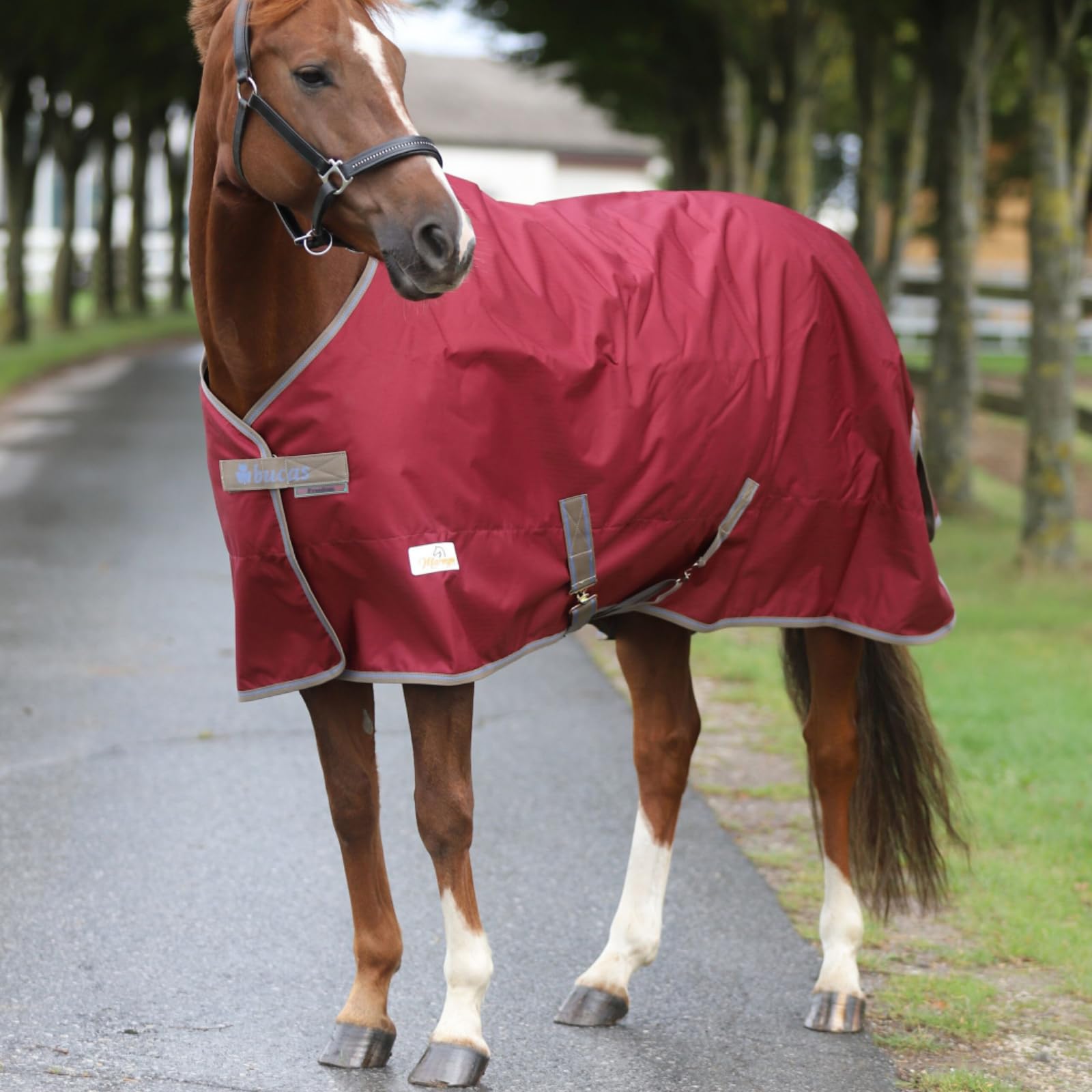 Marengos by Bucas - Weidedecke Freedom Turnout 600D – Regendecke & Übergangsdecke – wasserdichte Pferdedecke mit Innenfutter & Kreuzbegurtung – Weinrot/Dunkelblau – 155cm (ohne Füllung)