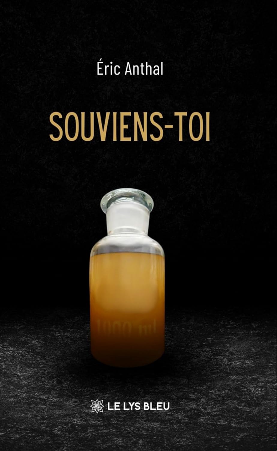 Souviens-toi (French Edition)
