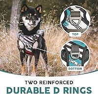 Vista 2 de Embark Urban - Arnés para perro sin tirones para perros pequeños, medianos y grandes. 2 clips para correa, parte delantera y trasera con asa