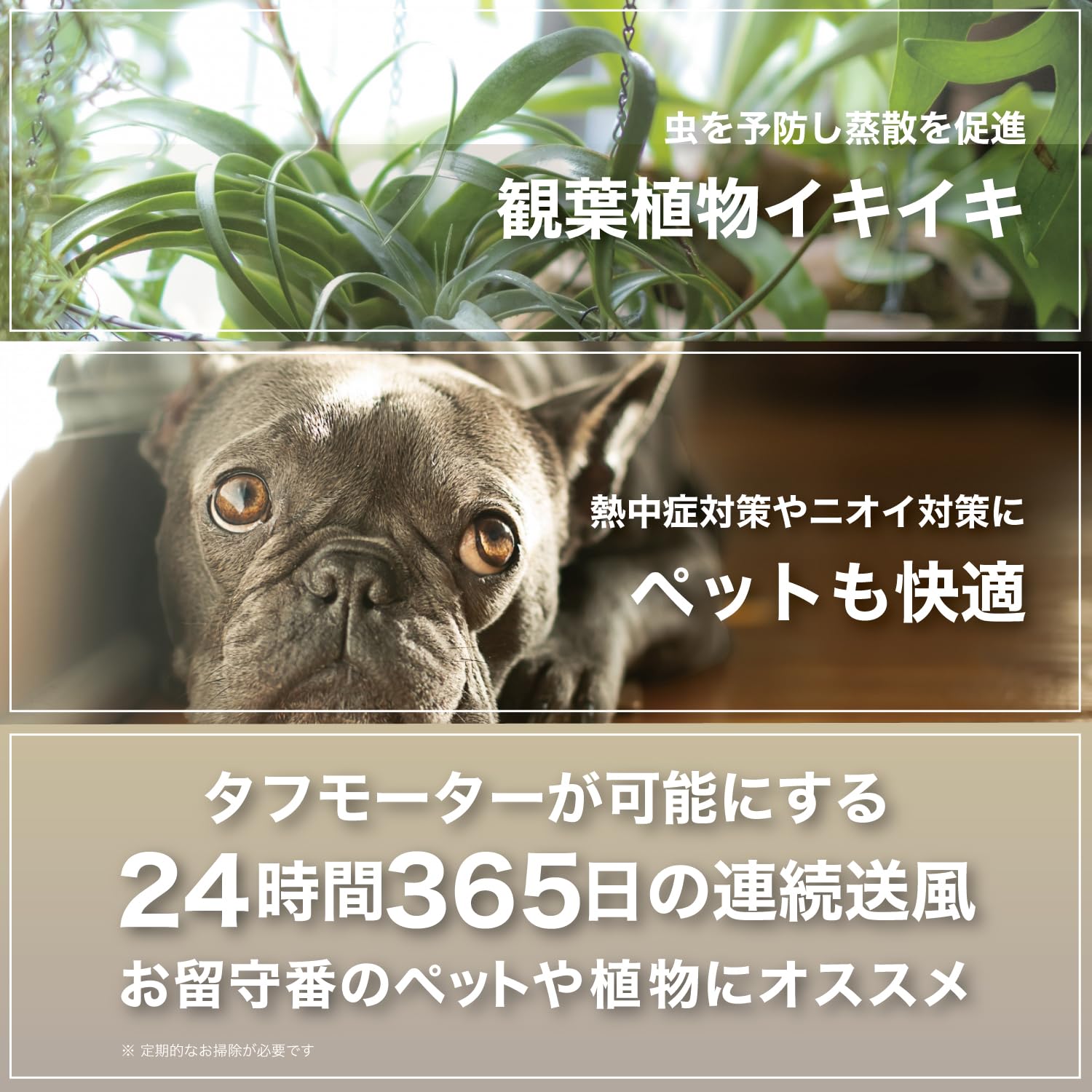 Amazon | ボルネード サーキュレーター タフモーター 35畳 静音 