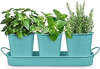 Plexon Aqua Mist Blue Metal Herb Planter Set of 3 with Tray - Indoor Kitchen Windowsill Garden Kit for Herbs & Succulents