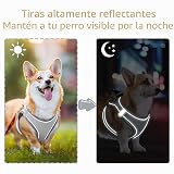 Ver la foto 6