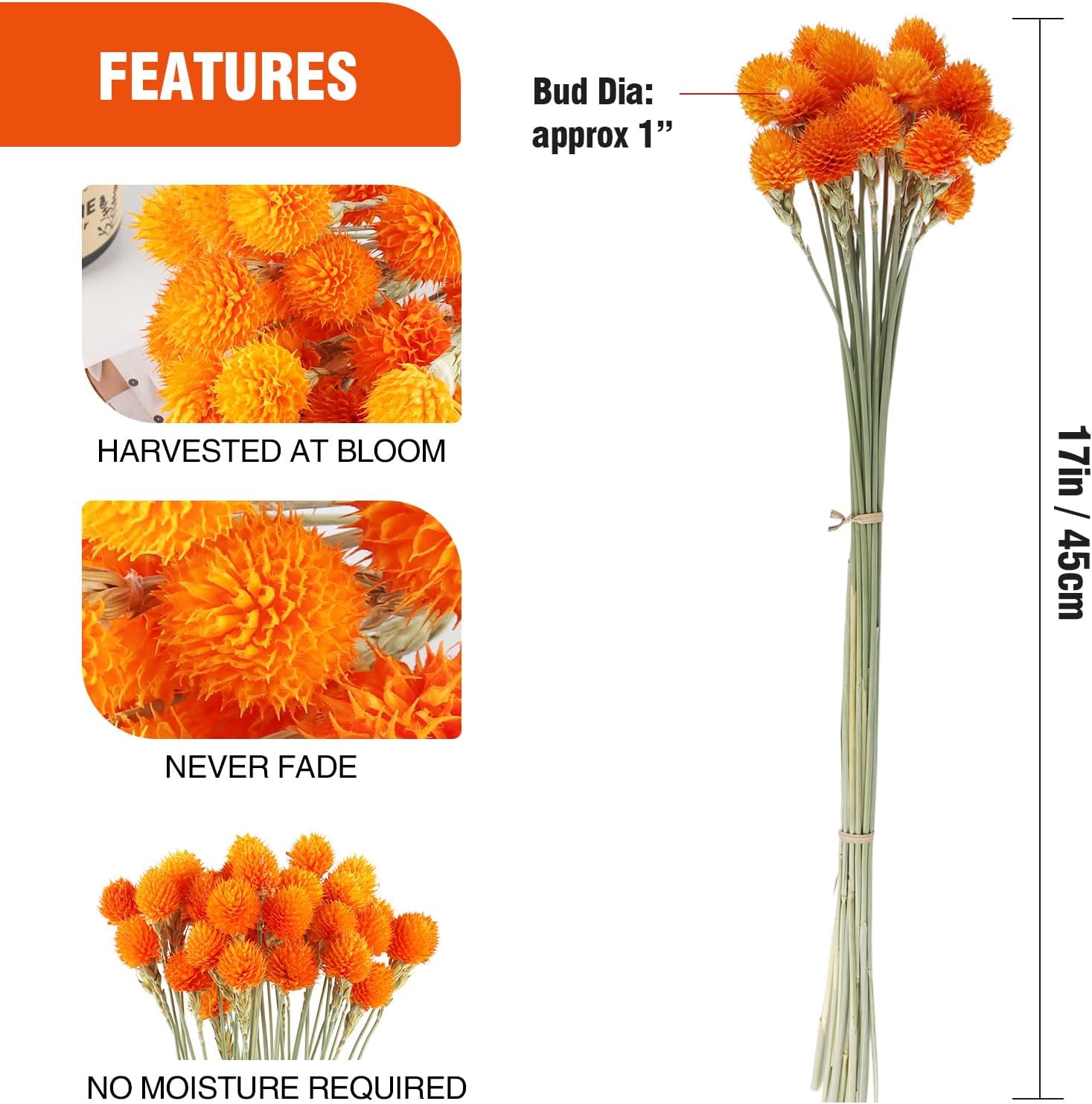 MIHUAGE Dried Globe Amaranth Flower with Wheat Straw Natural - 40PCS Bouquet for Vase Home Decor Party DIY Arrangement (Orange)
