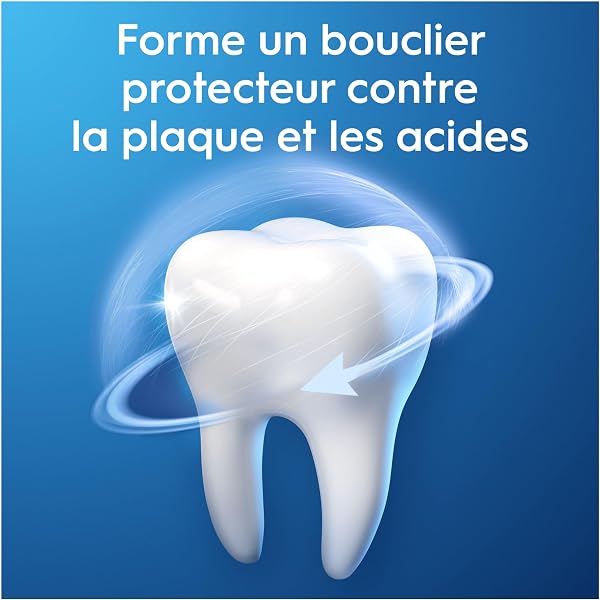 Oral-B Dentifrice Pro-Expert, Conçu Pour Protéger Les Gencives, Contre Taches En Surface, Brossage Des Dents Pour Une Protection Professionnelle, Pack XXL 3x75 ml - 3