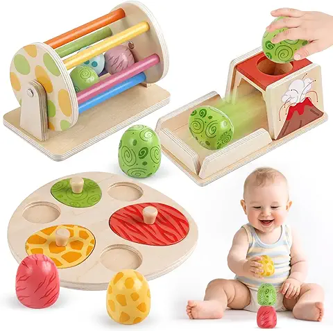 Montessori Toys for 6 Month Old