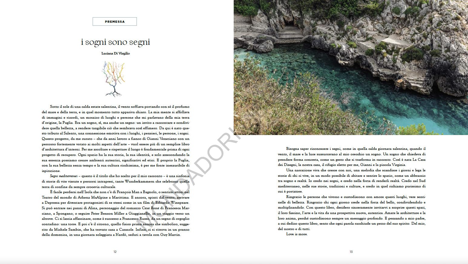 Dimore del Salento. Segni mediterranei. Ediz. illustrata