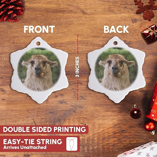 Miniatura 3 de 3dRose ORN_85812_1 Argentina, Mendoza, Llama at Club Tapiz - SA05 BJA0045 - Galería Jaynes - Adorno de copo de nieve, porcelana, 3 pulgadas