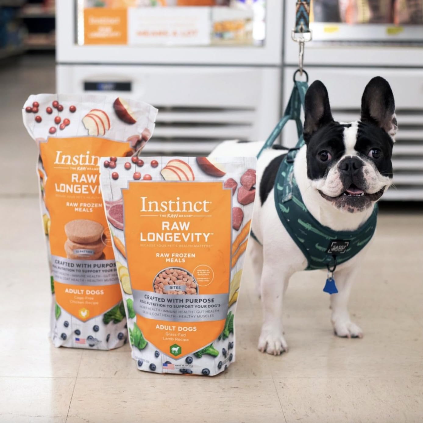 Amazon.co.jp: Instinct フリーズドライ 犬用 乳酸菌入りローフード