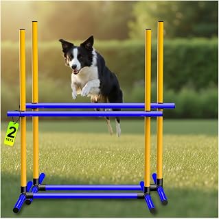 2-Bar Adjustable Jump Set
