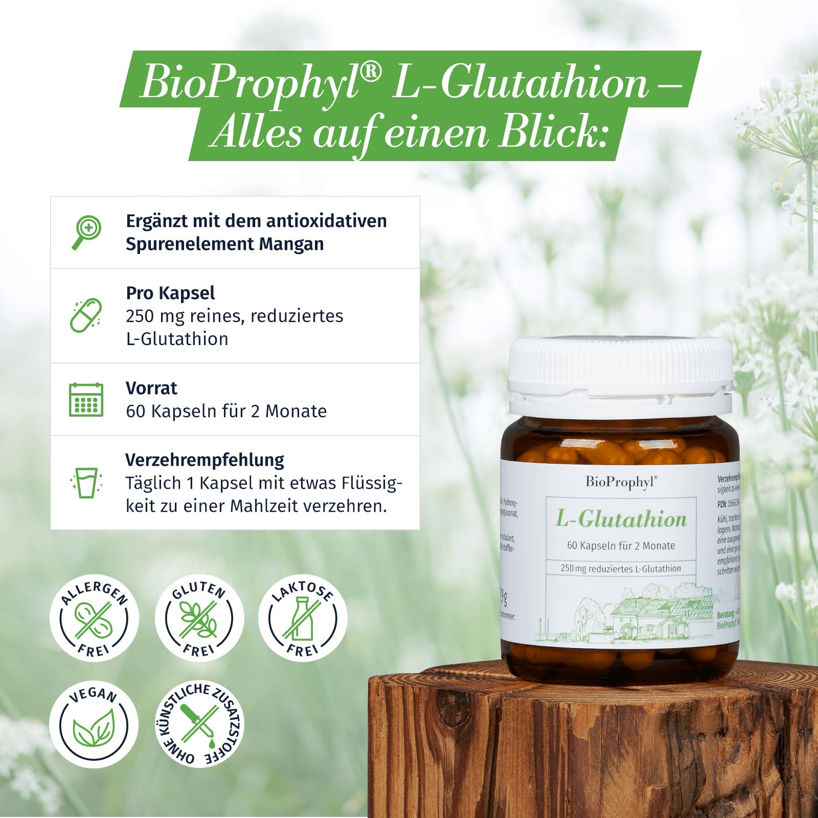 L-Glutathion G-SH - 250mg reines reduziertes L-Glutathion mit Mangan - 60 vegetarische Kapseln