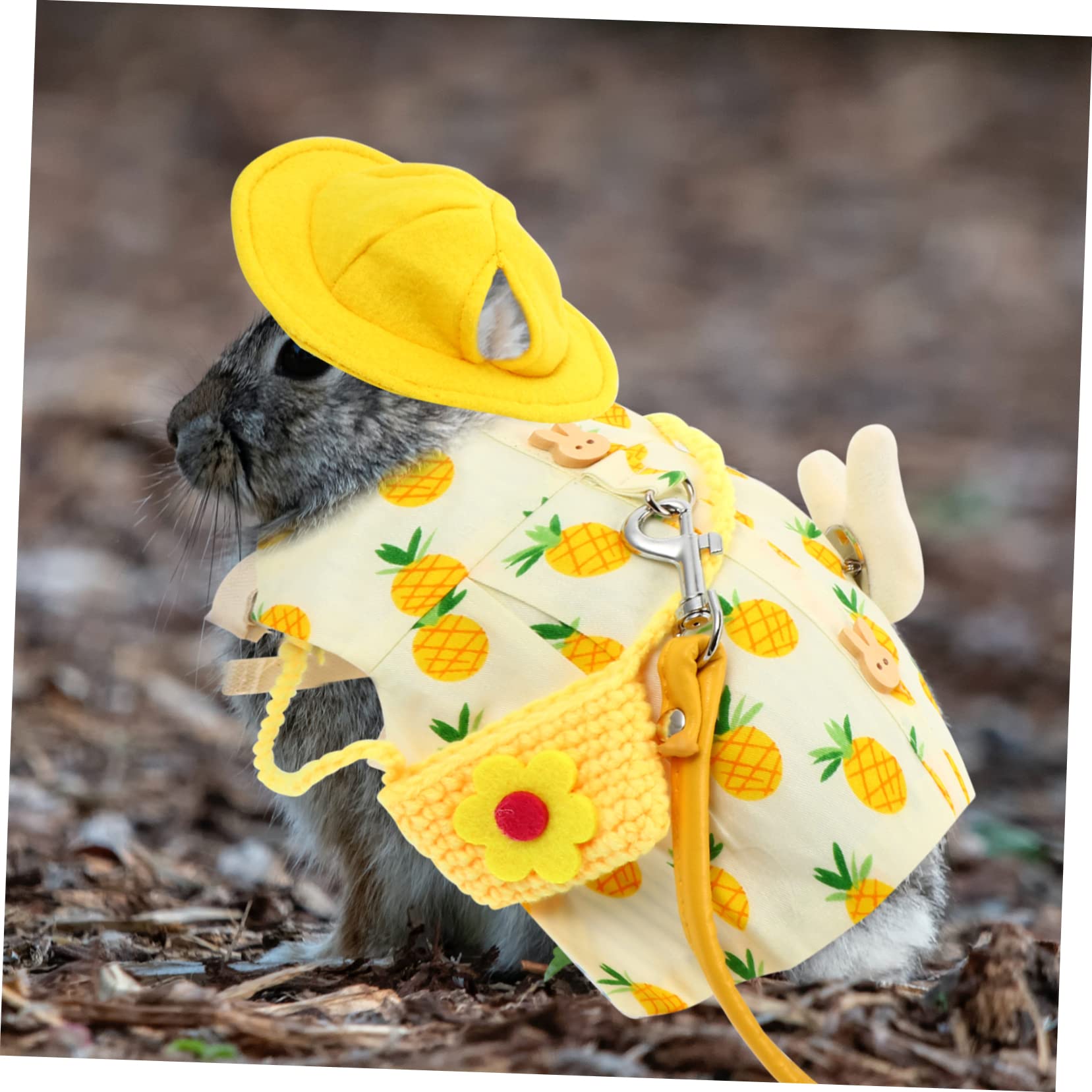 Housoutil 3sätze Kaninchen-Geschirr Und Leine Mit Warmem Hut Und Niedlicher Dekoration Geeignet Für Kleine Haustiere Wie Kaninchen Meerschweinchen Und Chinchillas Einfach Anzulegen Und
