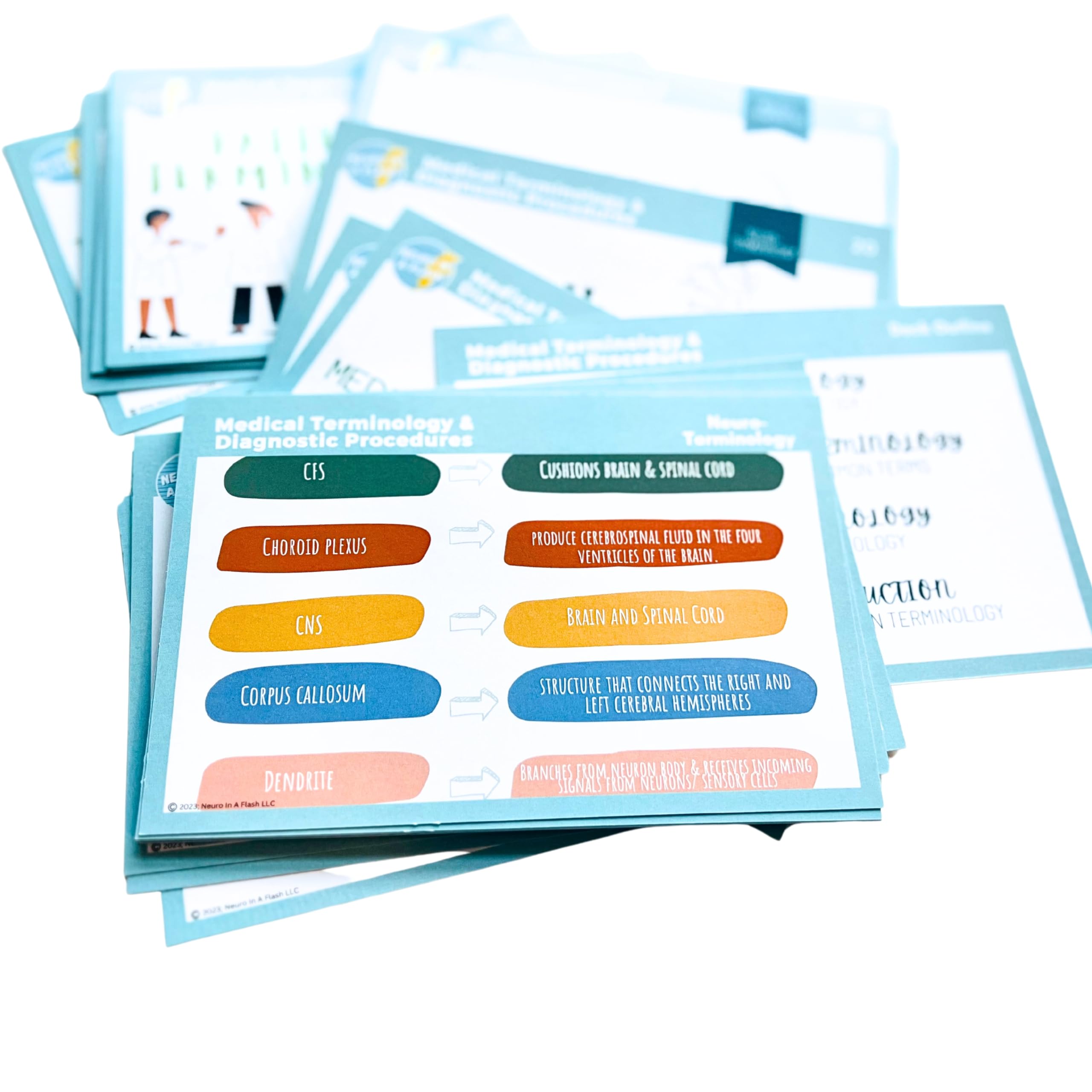 Medical Terminology EEG Flashcard Deck | END Study Guide | EEG School Supplies | Neurophysiology Education Resources | ICU Neurology Critical Care Terms EEG Pattern Definitions Anatomical Direction - Image 4