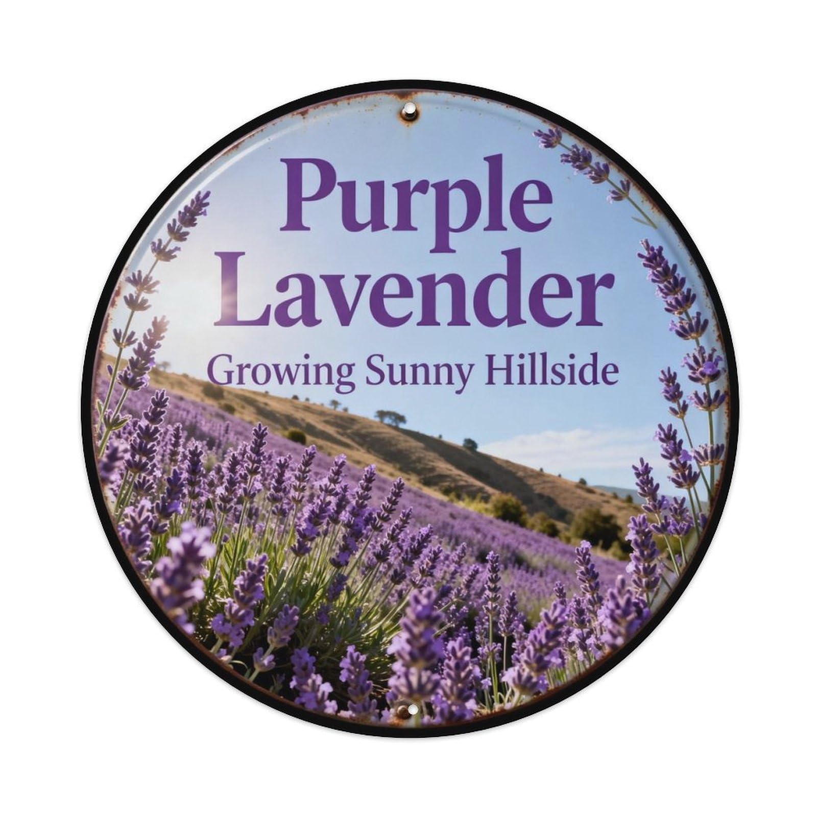 Purple Lavender Growing Sunny Hillside Metal Tin Sign Plaque