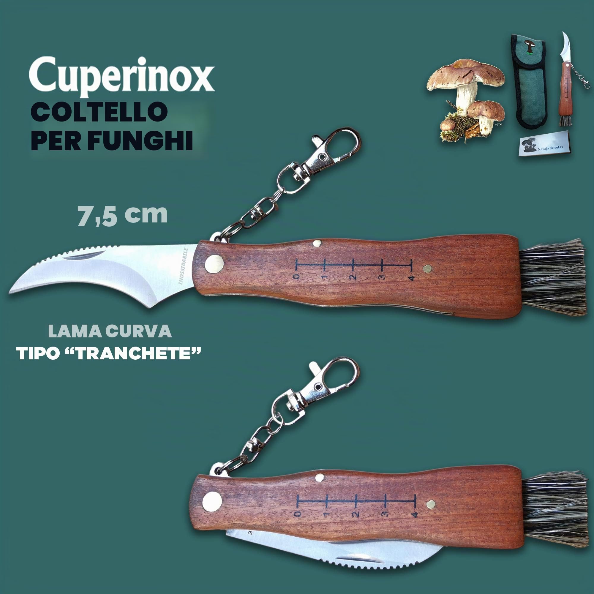 coltello per funghi, in acciaio inox, con custodia, coltello incluso, coltello micologica