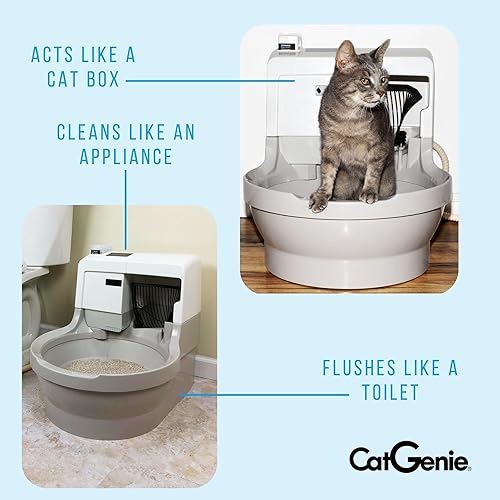 CatGenie A.I. Self-Cleaning — packaging and what arrives in the box